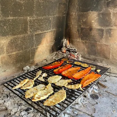 فيلة Holiday Mendula أوروبيتش